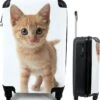 MuchoWow® Koffer - Kat - Rood - Kitten - Meisjes - Kinderen - Jongens - Kindje - Past Binnen 55x40x20 Cm En 55x35x25 Cm - Handbagage - Trolley - Fotokoffer - Cabin Size - Print 1 MuchoWow® Koffer - Kat - Rood - Kitten - Meisjes - Kinderen - Jongens - Kindje - Past Binnen 55x40x20 Cm En 55x35x25 Cm - Handbagage - Trolley - Fotokoffer - Cabin Size - Print -Goedkope Bagage Winkel 1145x1200 1