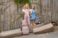 Lässig Tiny Backpack Trolley About Friends Racoon -Goedkope Bagage Winkel 1200x800 53